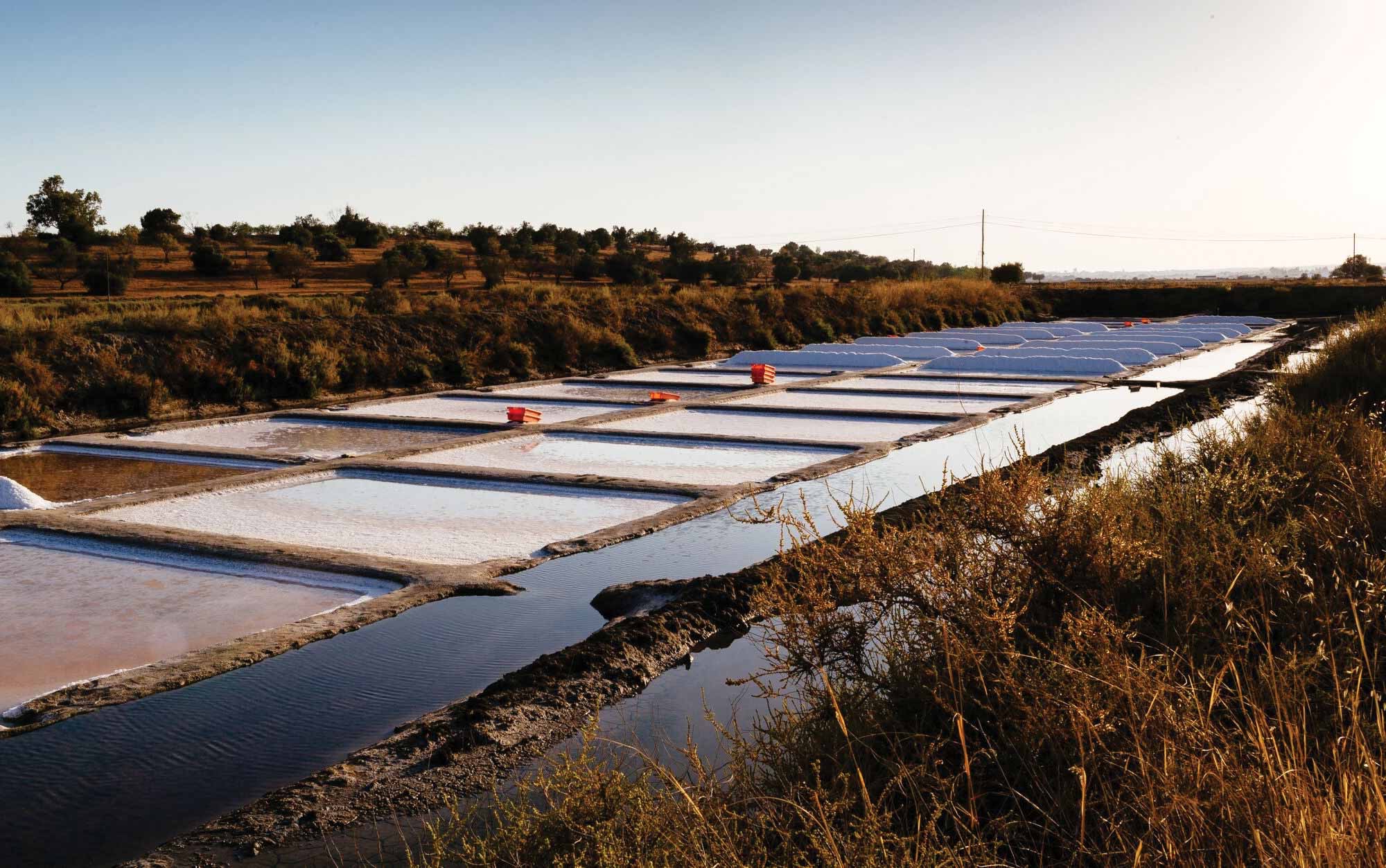 Salmarim’s saltpan landscape