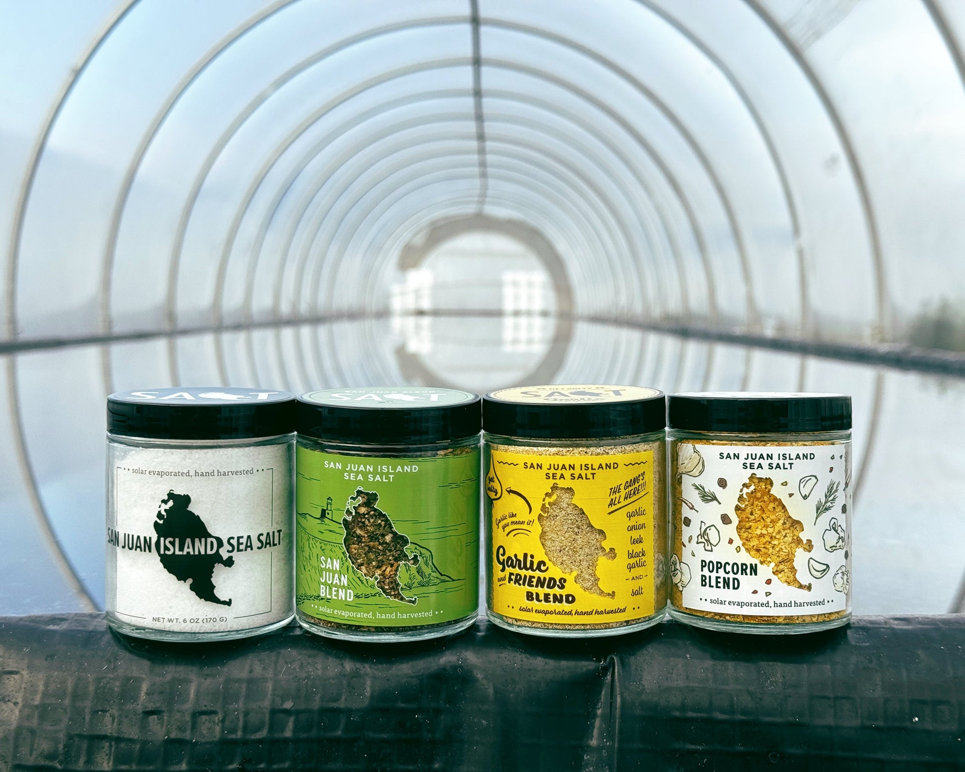 Four San Juan Island Sea Salt jars arranged in front of a greenhouse pond.